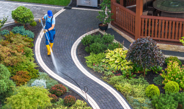 Best Roof Pressure Washing  in Loveland, OH